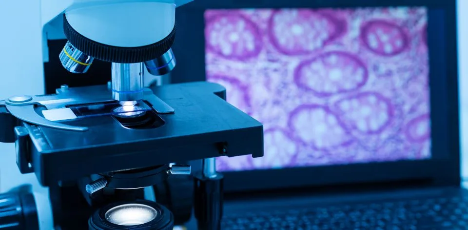 Pathology and Histology Experts