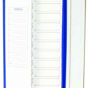 20-Place Cardboard Slide Tray, Blue Trim